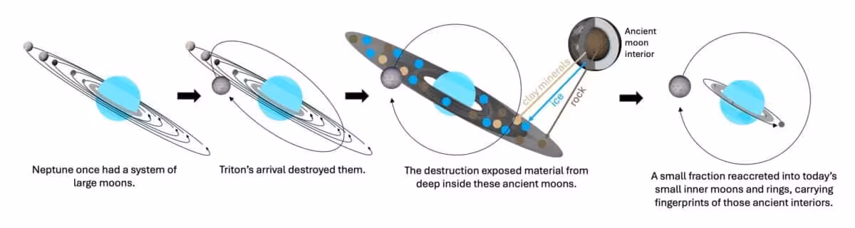 Illustration Of How Triton’s Capture May Have Destroyed Neptune’s Ancient Moon System And Shaped Its Small Moons And Rings.