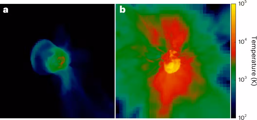 Primordial supernova explosions. At the end of the simulations, both supernova remnants are still trapped within their respective H ii regions.