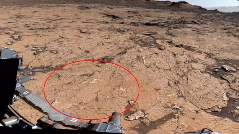 A View Of The Polygon Formations (highlighted) On Mars.