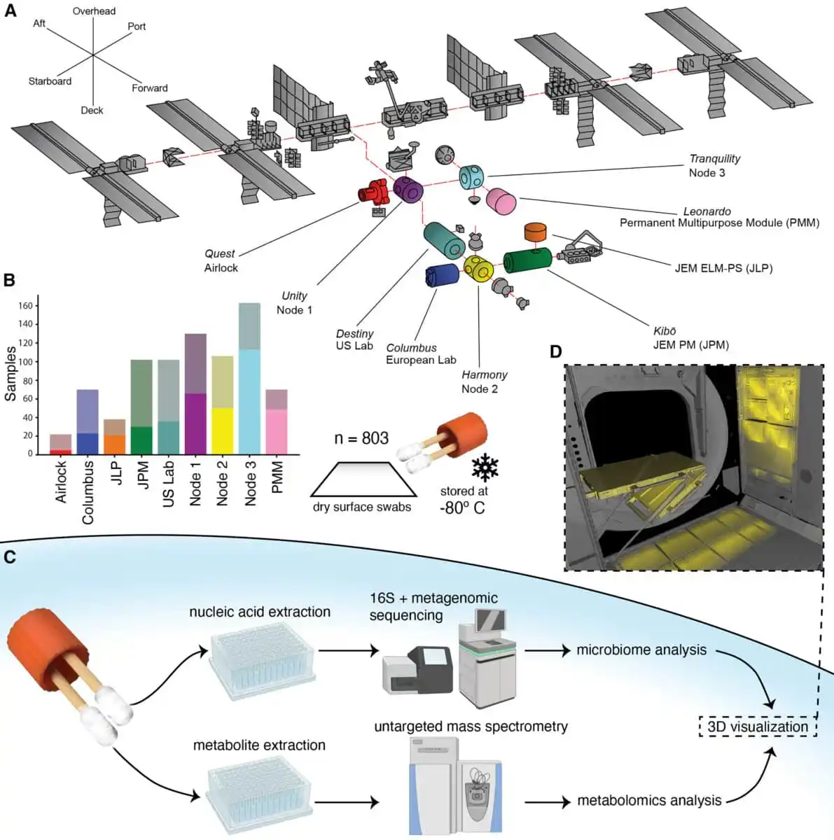 The First 3d Map Of Microbes Aboard The Iss.