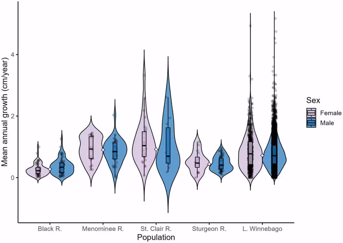 Mean Annual Growth Rates Of Male And Female Lake Sturgeon Across Five Populations.