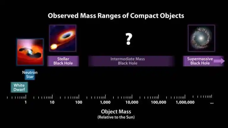 Mass Ranges Of Known Compact Objects And The Elusive Intermediate Mass Black Holes.