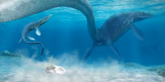 An Artistic Reconstruction Of A Mosasaur Hatching From An Egg.