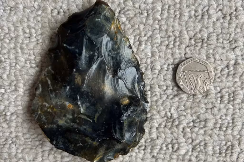 The Hand Axe Ben Found At Shoreham Beach Next To A 20 Pence Piece