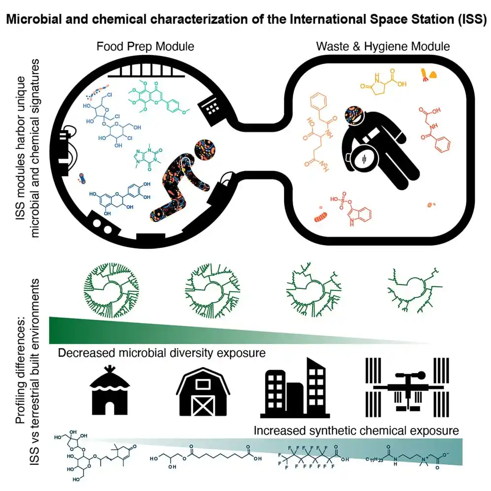 A Snapshot Of The Iss Microbiome.