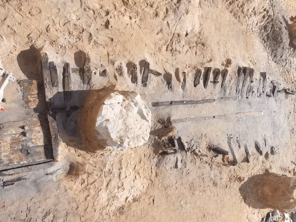 The Remains Appeared During The Construction Work Of A Parking Lot And Were On The Site Of The Old Fish Market