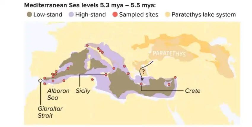 Mediterranean Sea Levels During The Messinian Salinity Crisis (5.5–5.3 Million Years Ago).