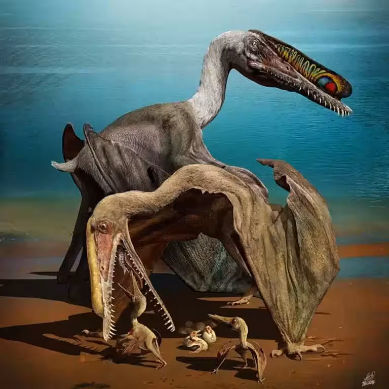 Visual Reconstruction Of A Nesting Group Of Hamipterus Tianshanensis