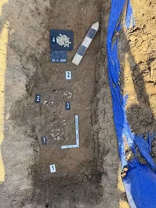 Medieval Silver Coins Unearthed Near Kutná Hora.