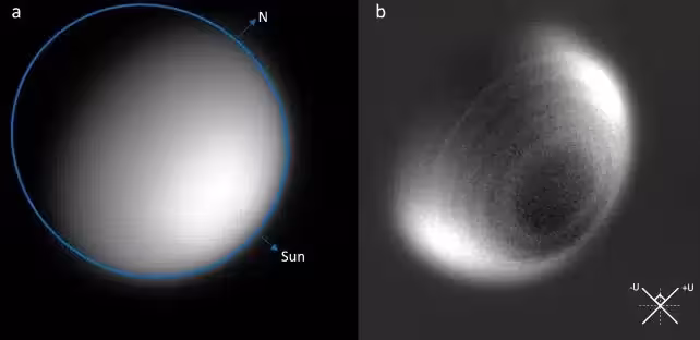 Venus Rings 2