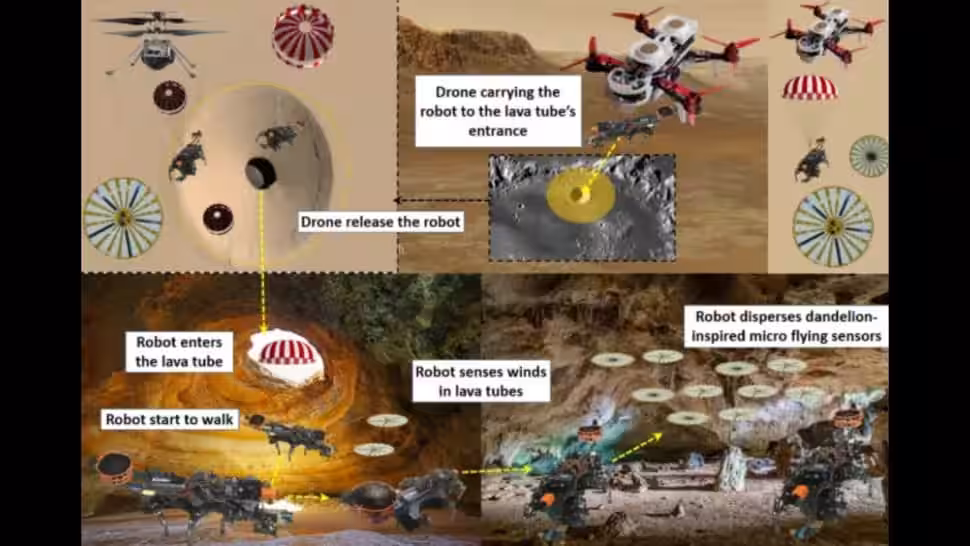 Concept Of Dandelion Drones For Lava Tube Exploration