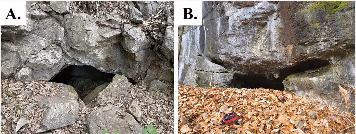 Entrance Views Of The Cave Habitats Surveyed In South Korea Where The Newly Described Spelaeochthonius Pseudoscorpion Species Were Discovered.