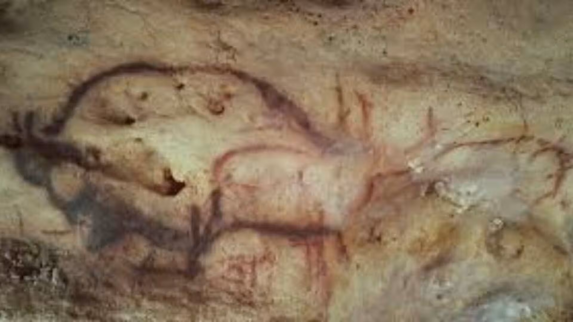 Inside A French Cave Scientists Uncovered A Year Old Secret Hidden In Ancient Black Lines Scaled
