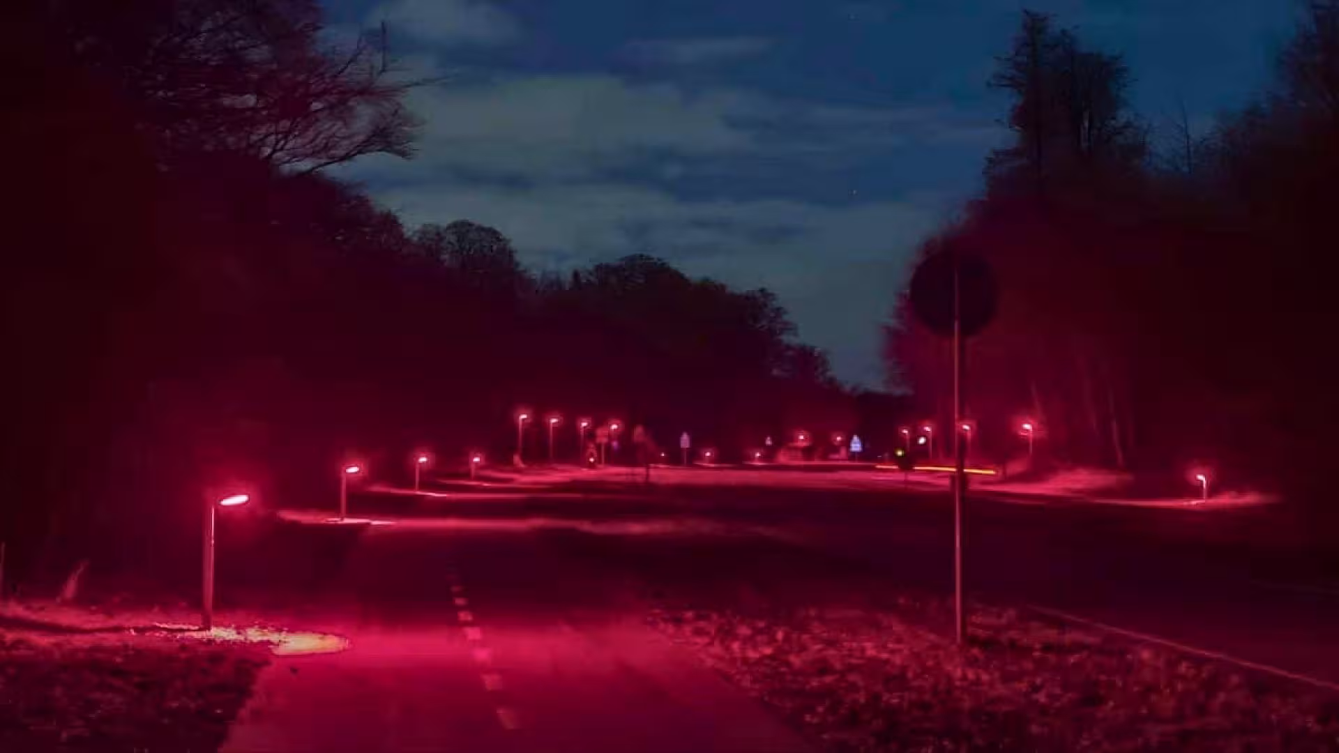 Denmark Is Turning A Road Red After White Streetlights Became A Barrier For Bats Scaled