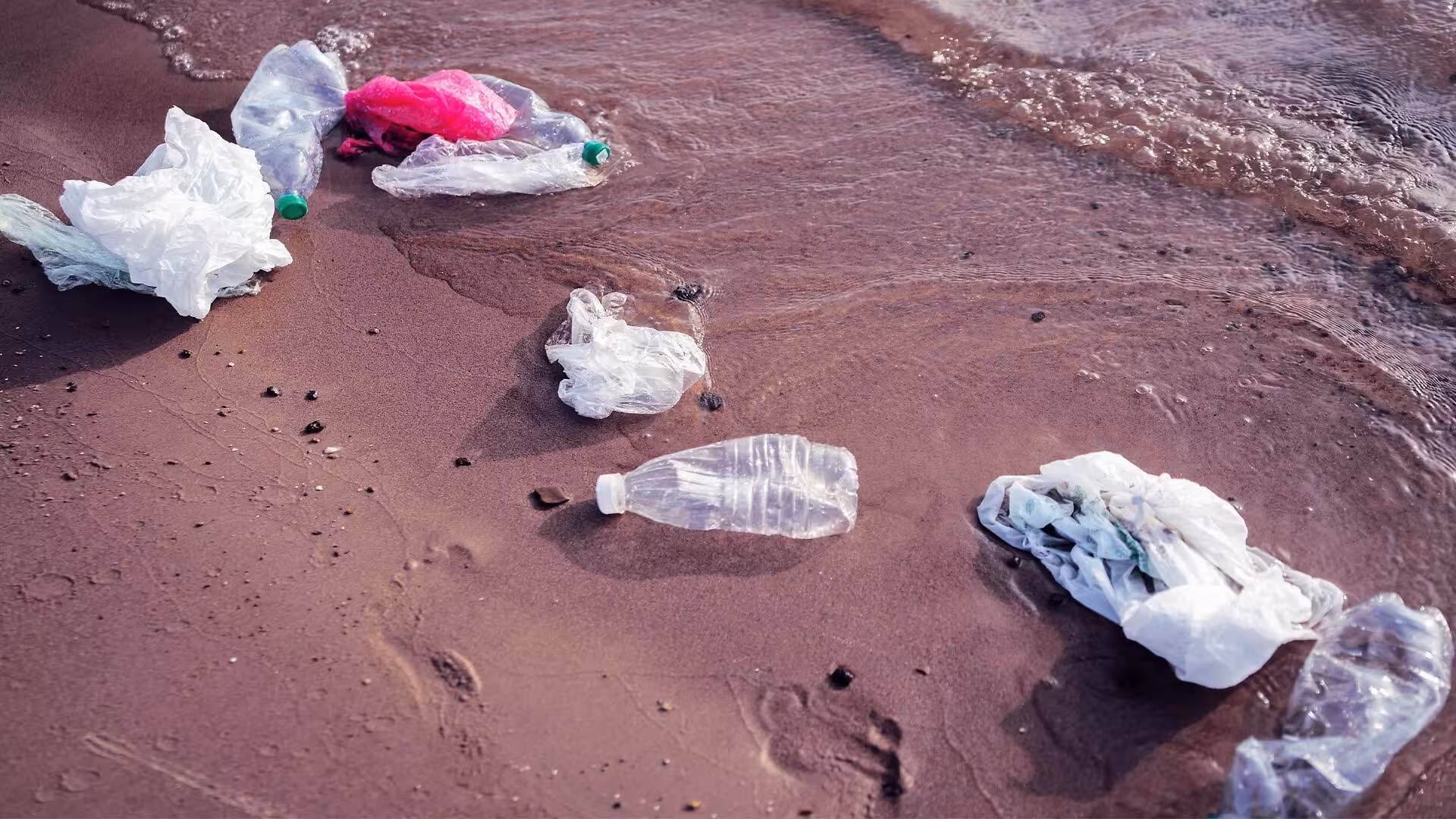 Volunteer Investigation Cleaning Polluted River Prison