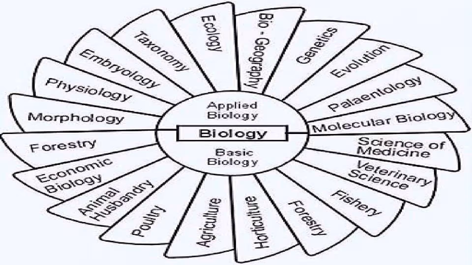 Branches of Biology