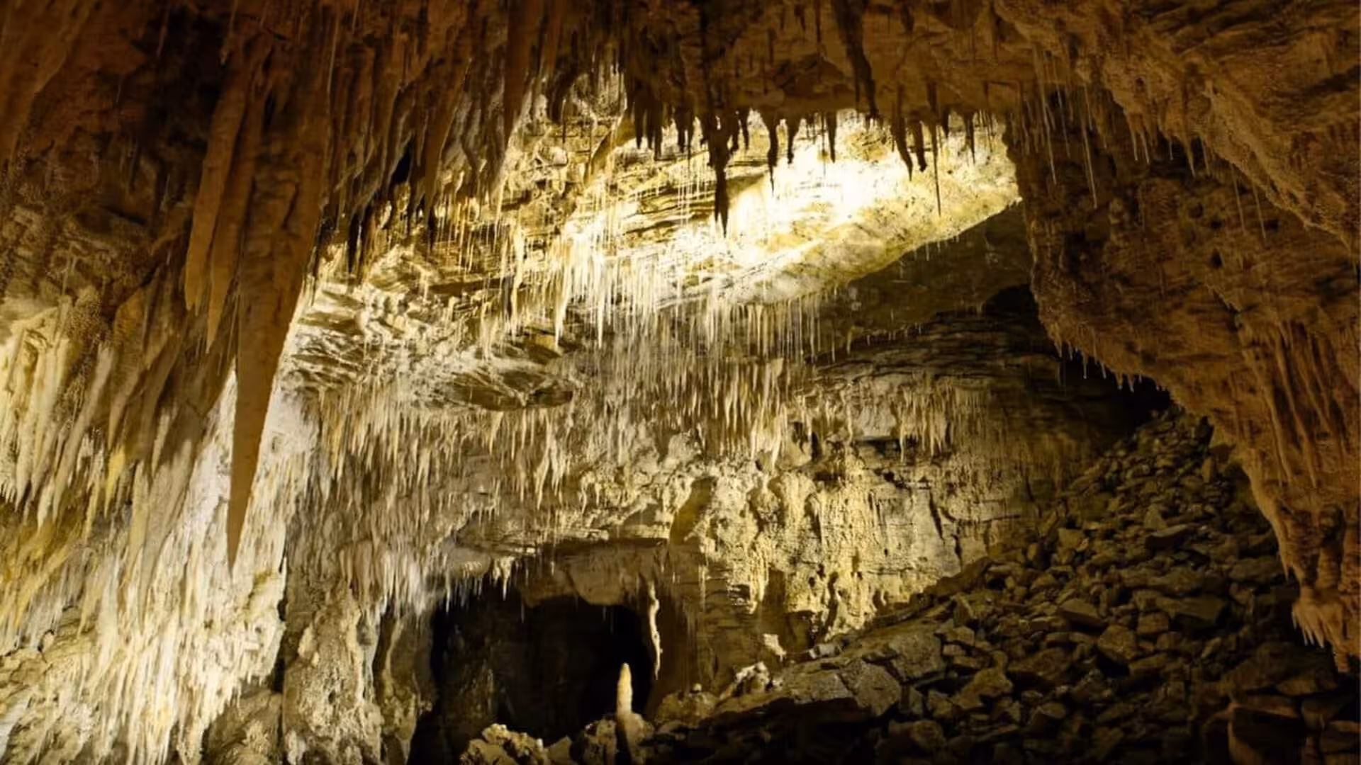 New Zealand Cave Reveals A Lost World Of Life From 1 Million Years Ago Scaled