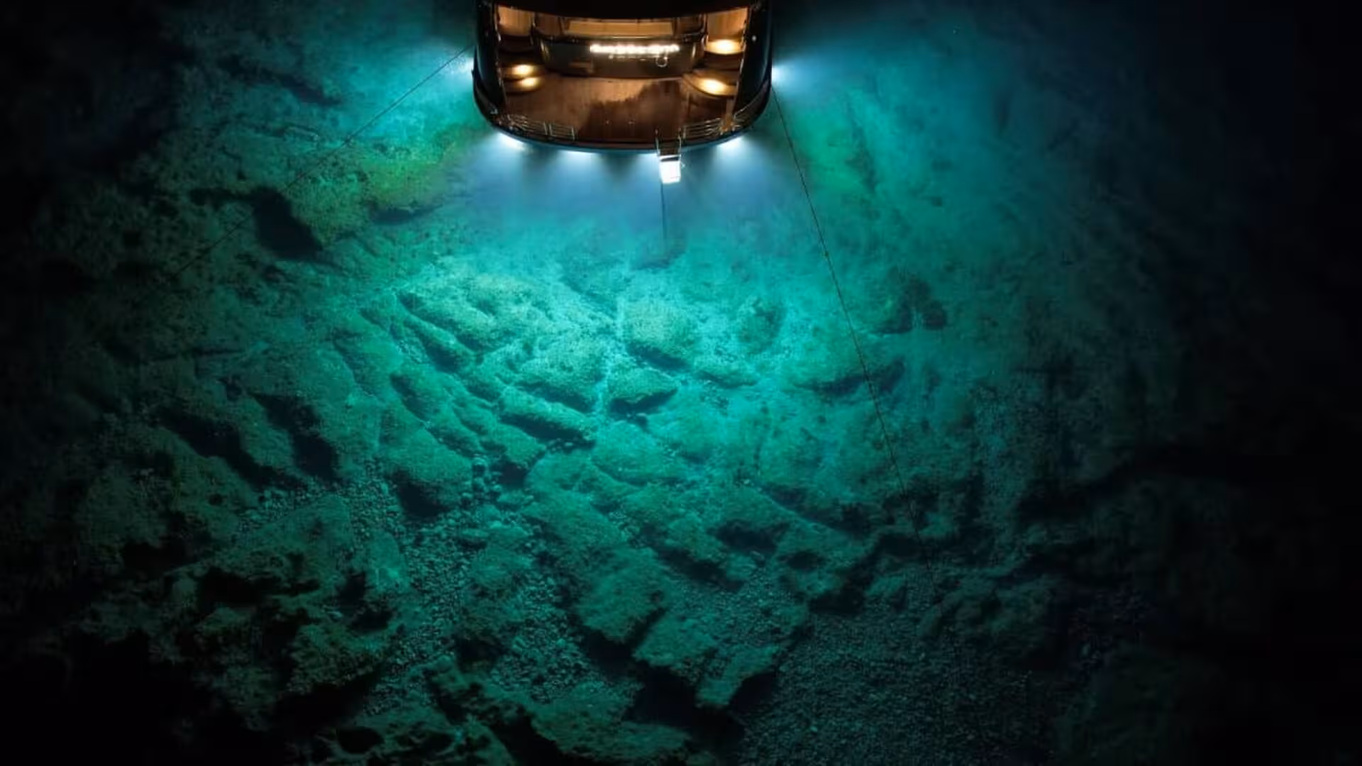Scientists Sent A Submersible Feet Below The Indian Oceans Surface What They Found Left Them Astonished Scaled