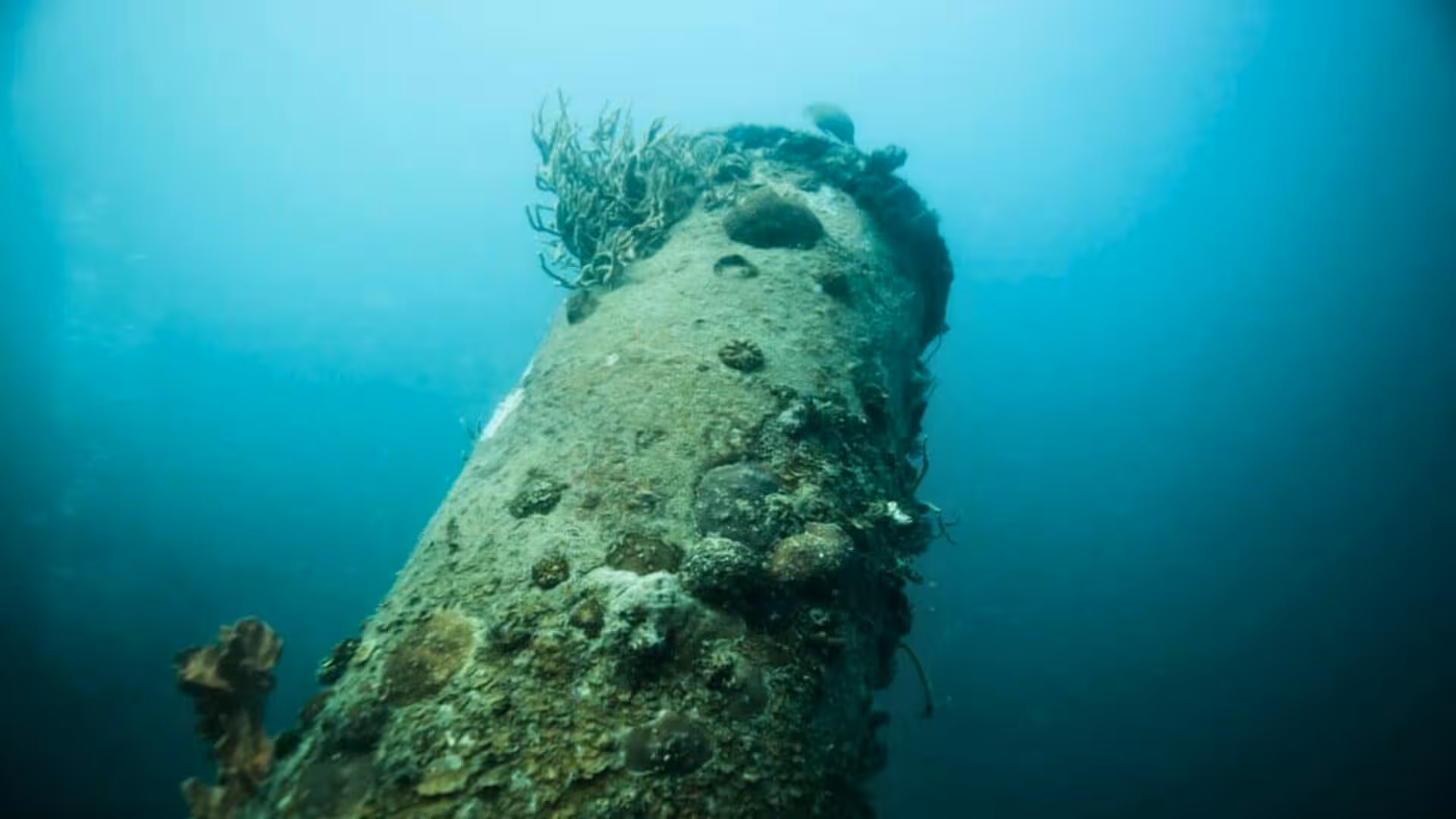 Savannah River Cannons Preserved Underwater For Centuries Scaled