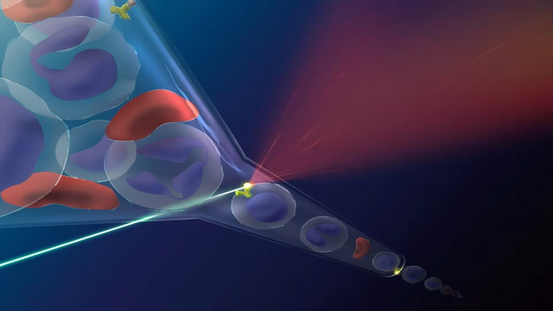 Flow Cytometry