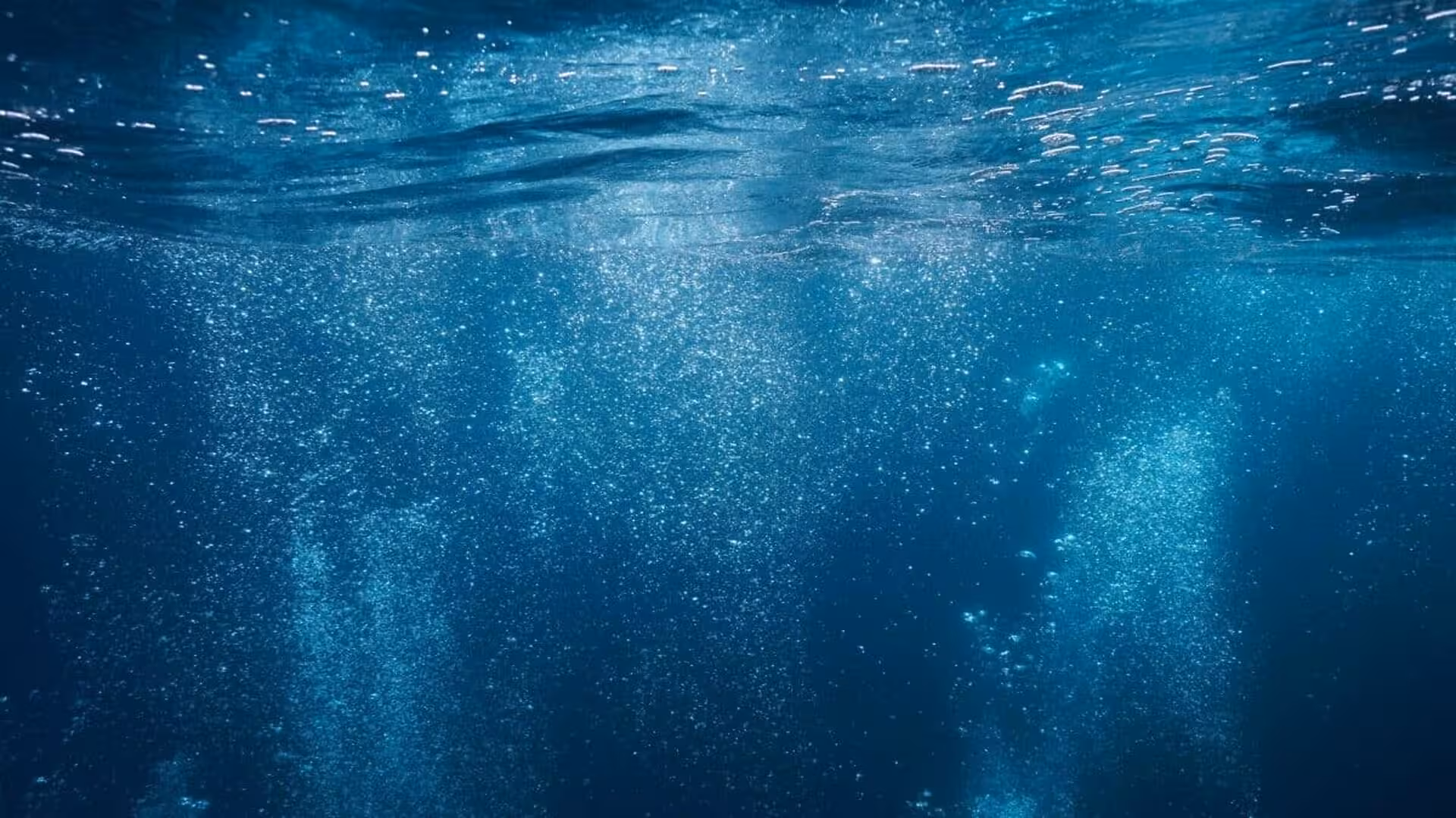 Air Bubbles Rise To The Surface Of The Water Underwater In The Sea Scaled