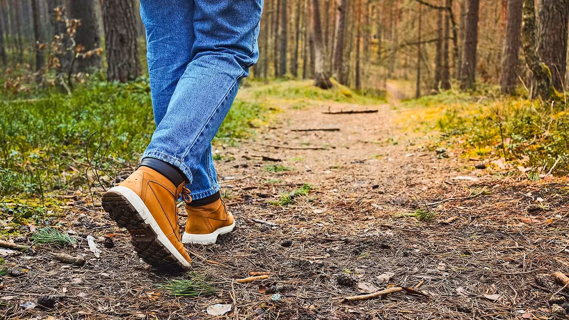 A person wearing jeans and hiking boots walks along a forest trail.