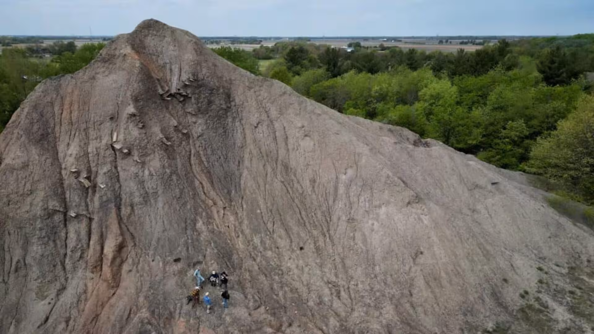 Scientists Discover Tiny Fossils Near Chicago That Dont Match What They Expected From The First Land Animals Scaled