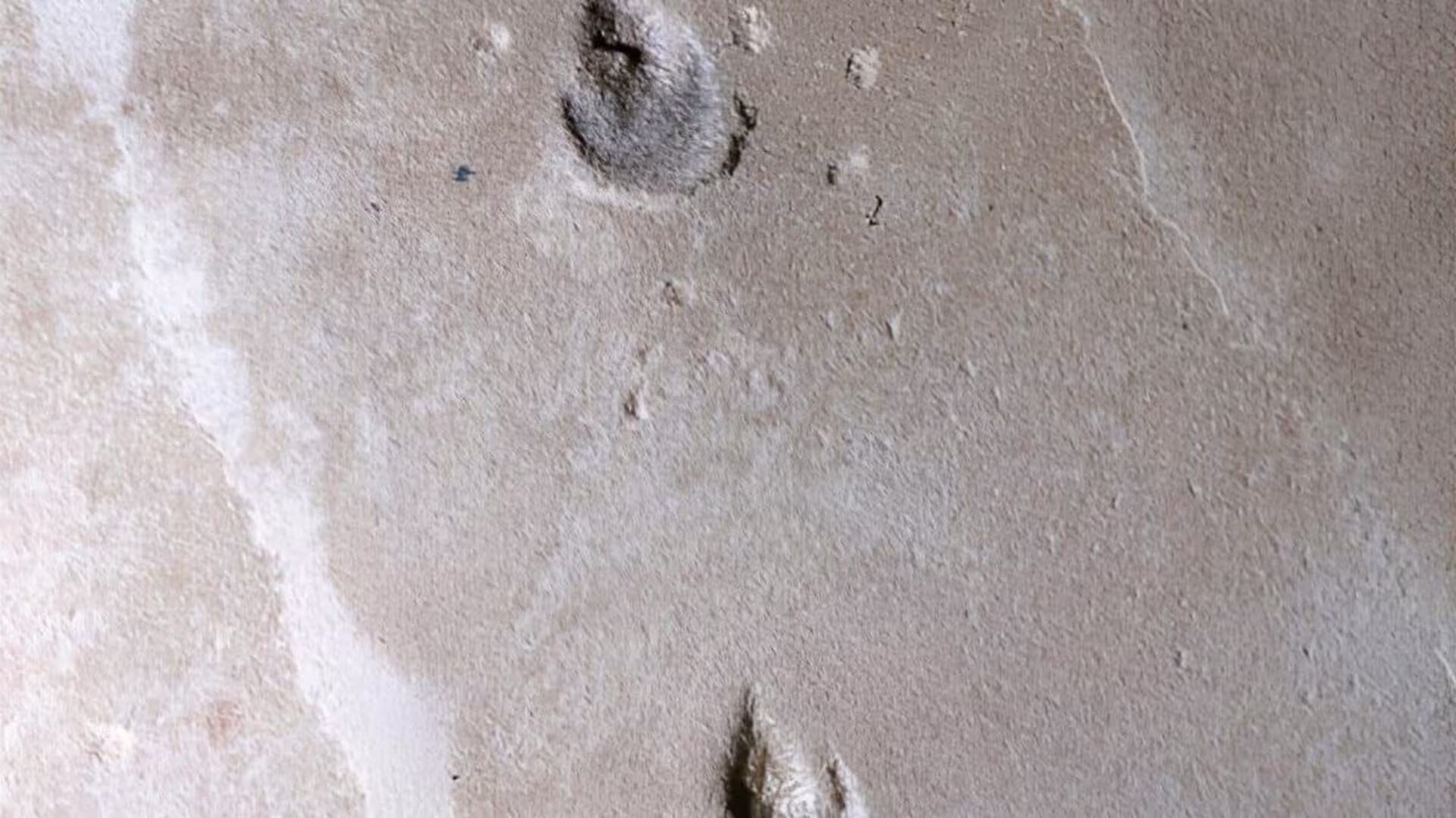 Hidden In Brazils Ancient Sands 135 Million Year Old Footprints Reveal A New Dinosaur Species With No Known Skeleton Scaled