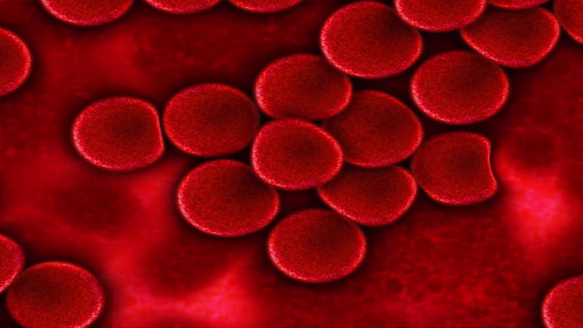 Red Blood Cells royalty-free stock illustration.