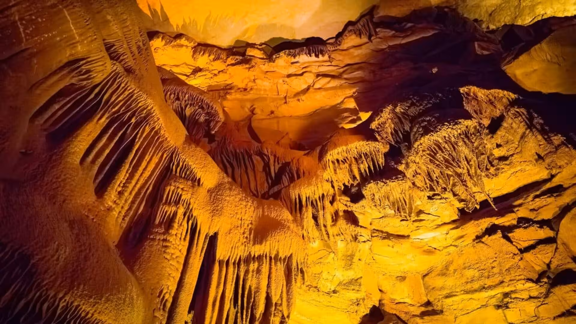 While Exploring This 426 Mile Cave Beneath Kentucky Researchers Came Across Unusual Creatures Scaled