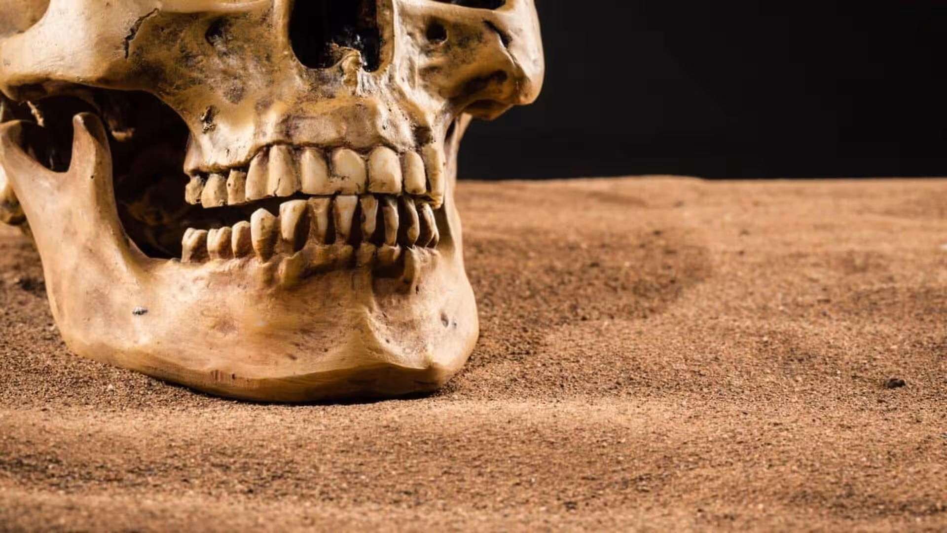 Scientists Dug Up Ancient Teeth And Accidentally Found That This Bacteria Was Already Killing Humans Years Ago Scaled