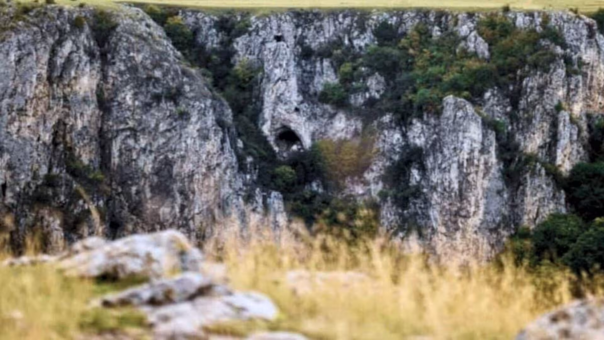 This Ancient Culture Built Huge Settlements Without Obvious Rulers Scaled