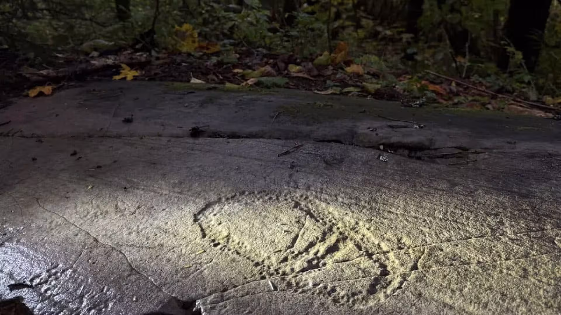 A Father And His Daughter Stopped Along A Road In Norway And Stumbled Upon Year Old Ancient Carvings Unlike Any Seen Before Scaled