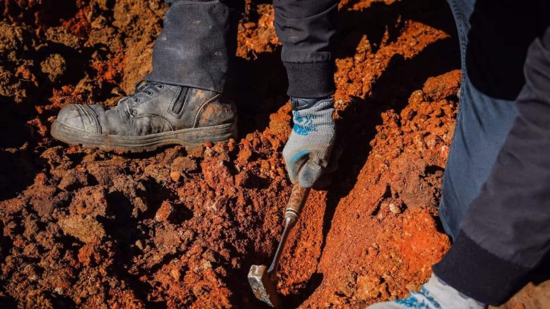 Hidden Under A Dry Australian Farm Scientists Found Perfectly Preserved Fossils From 16 Million Years Ago Scaled