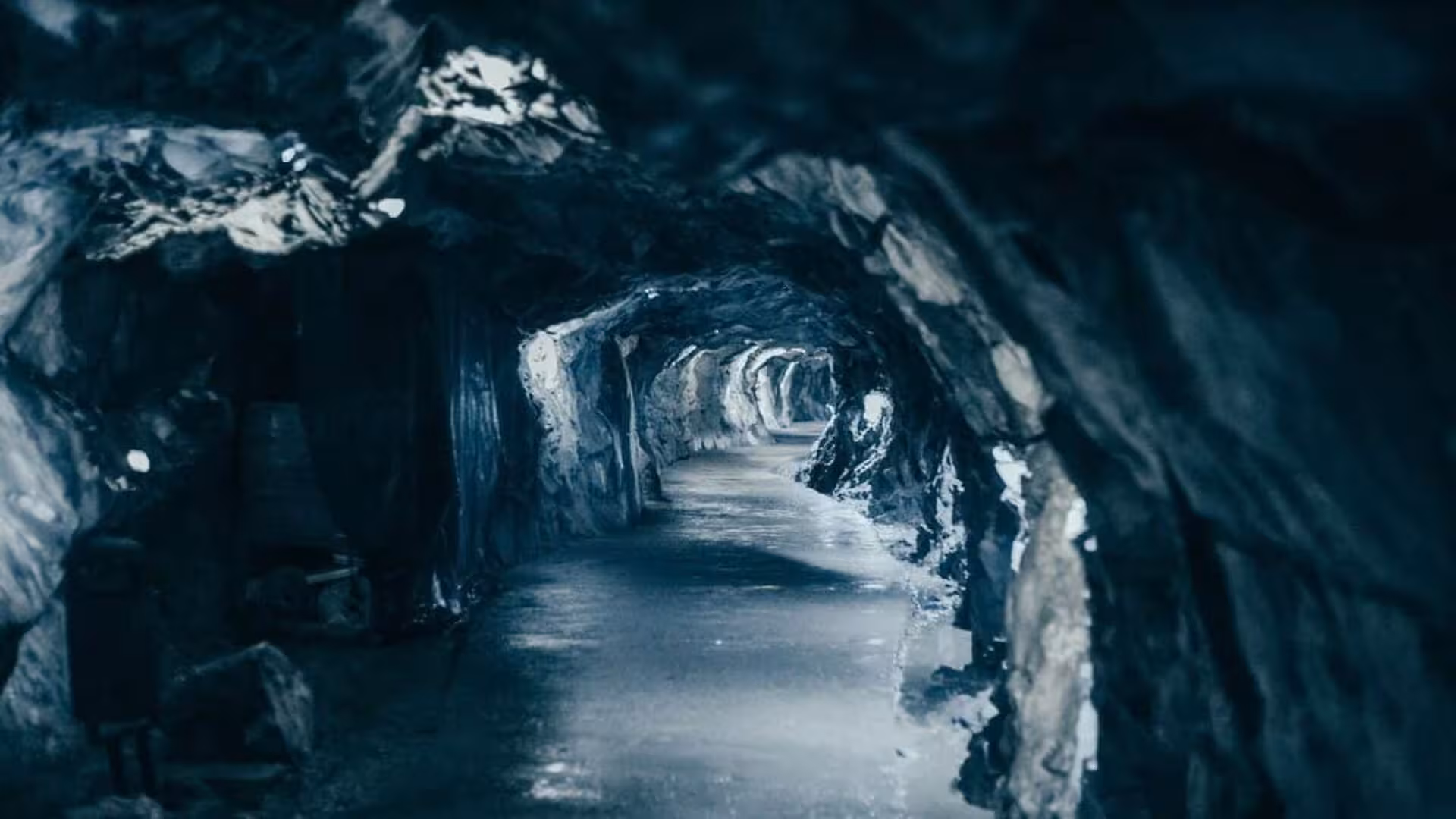 Scientists Opened A Forgotten Cave In Norway And Found An Arctic World That Existed Years Ago Scaled