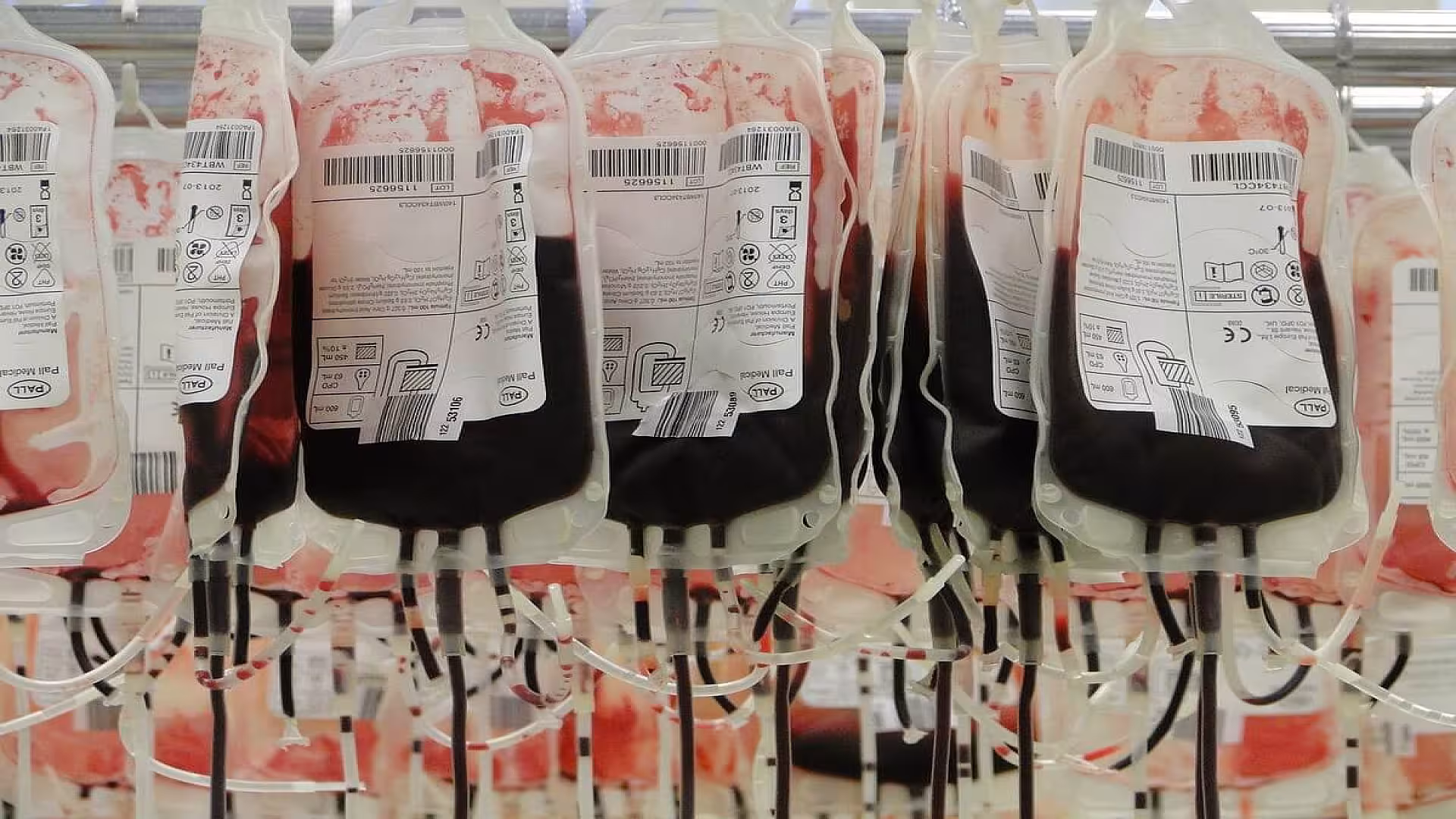 Blood Bags