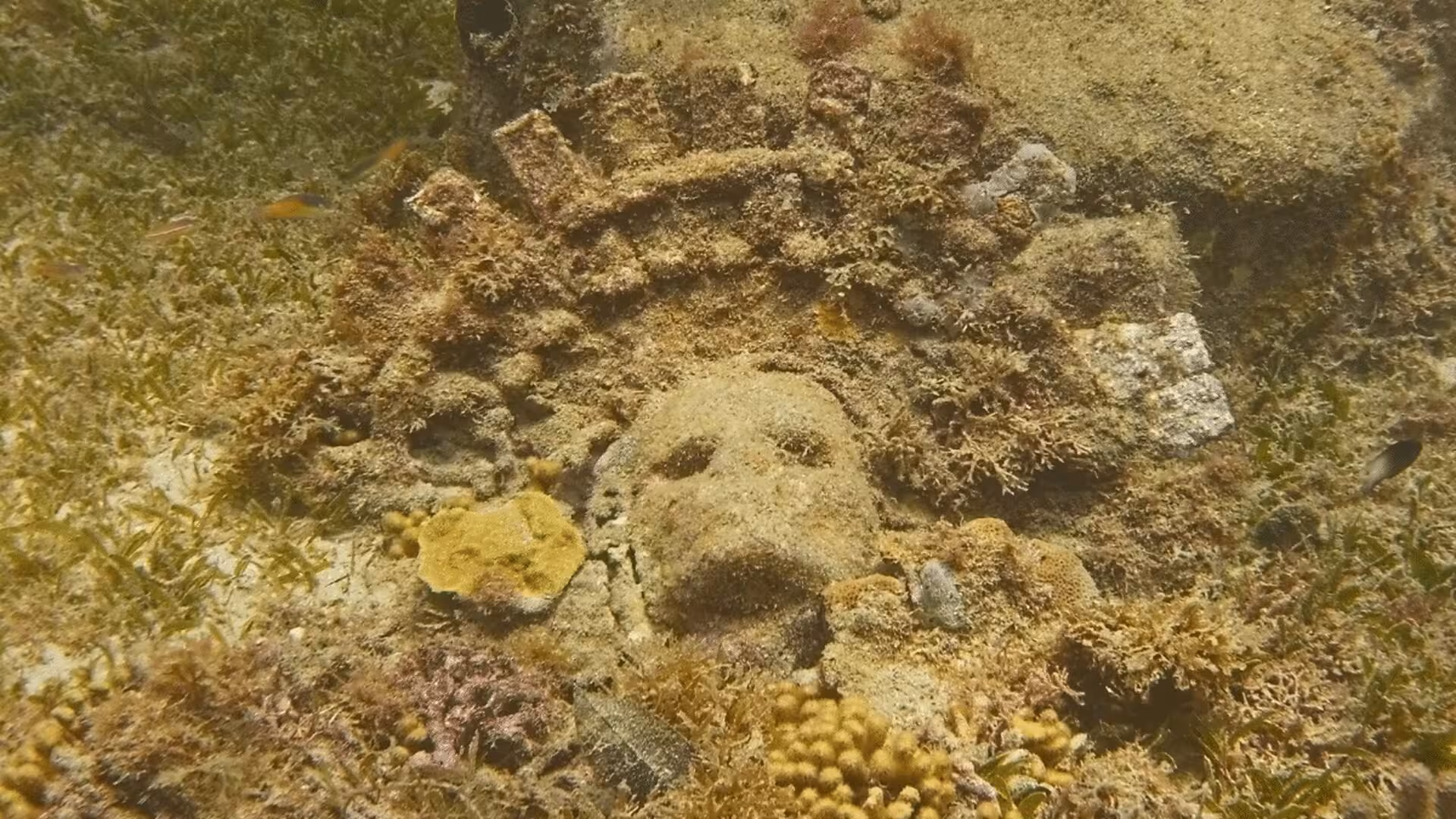 Underwater Archaeologists Stumble Upon A Haunting Carved Face Preserved For Over A Millennium In Poland Scaled