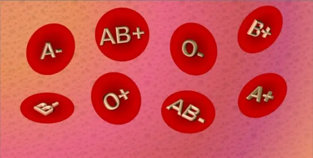 ESTIMATION OF BLOOD GROUP BY TUBE METHOD