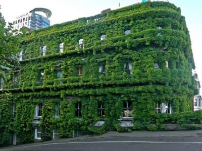 Advantages Of Green Building Which No One Knows About