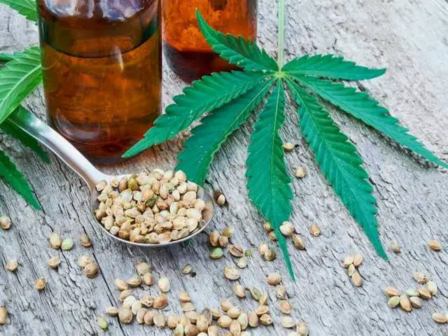 What Is CBD? The Relationship Between CBD And Weight Loss
