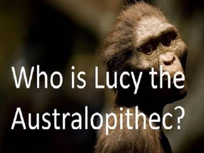 Who is Lucy the Aurtralopithec
