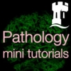 Pathology Mini Tutorials University Of Nottingham