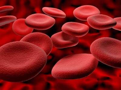 Hemoglobin is an important component of red blood cells.