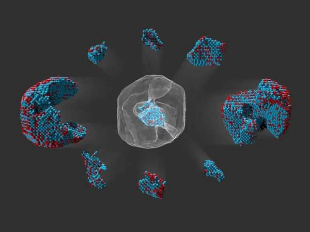 Scientists at Lawrence Berkeley National Lab use the microscope to painstakingly map every single atom in a nanoparticle. Here, they surveyed a tiny iron platinum cluster under the microscope and virtually picked it apart.
