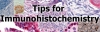 What Every Pathologist Needs to Know About Technical Immunohistochemistry