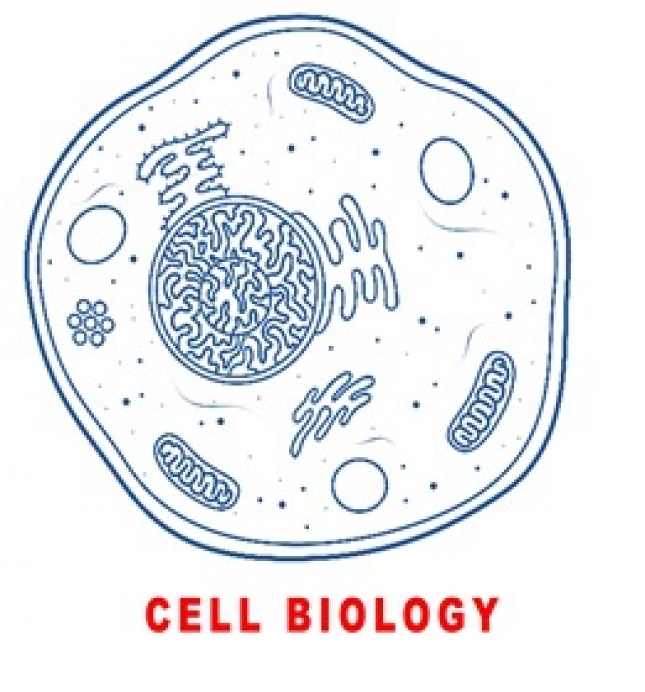 CELL BIOLOGY (CYTOLOGY)