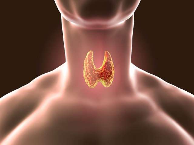 Disorders of Thyroid Gland: Hypothyroidism & Hyperthyroidism
