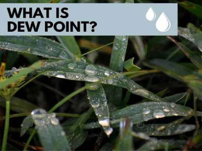What is dew point.
