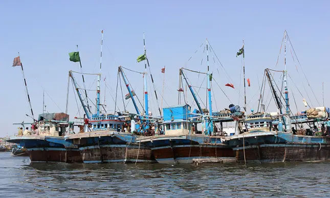 Marine Culture (Mariculture) in Pakistan