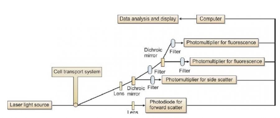 Principle of working of a flow cytometer